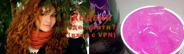 соль ск Няндома