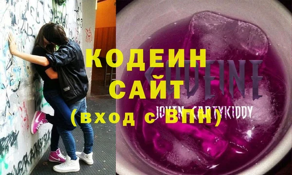 соль ск Няндома