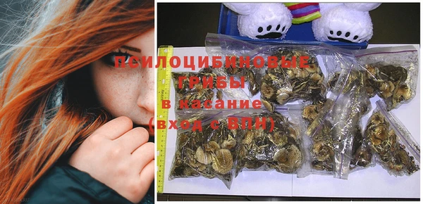 гашик Абдулино