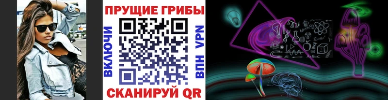 Псилоцибиновые грибы Psilocybine cubensis Рассказово