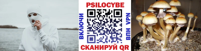 дарк нет состав купить закладку Рассказово Псилоцибиновые грибы ЛСД