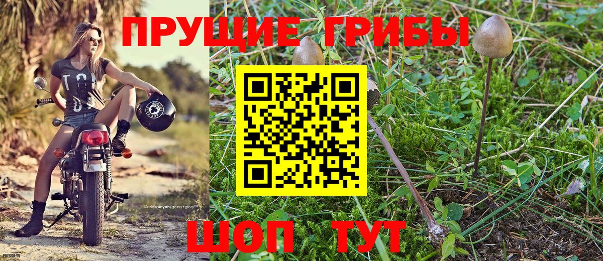 купить закладку  Псилоцибиновые грибы Magic Shrooms  Рассказово  Вход с VPN  Галлюциногенные грибы мицелий 